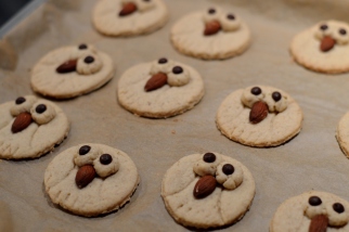 Eulen-Cookies